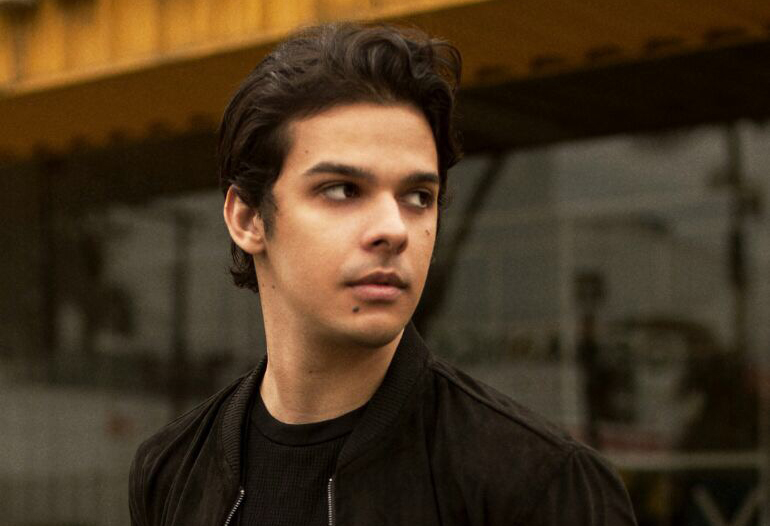 vibez indica zerky vibez indica zerky