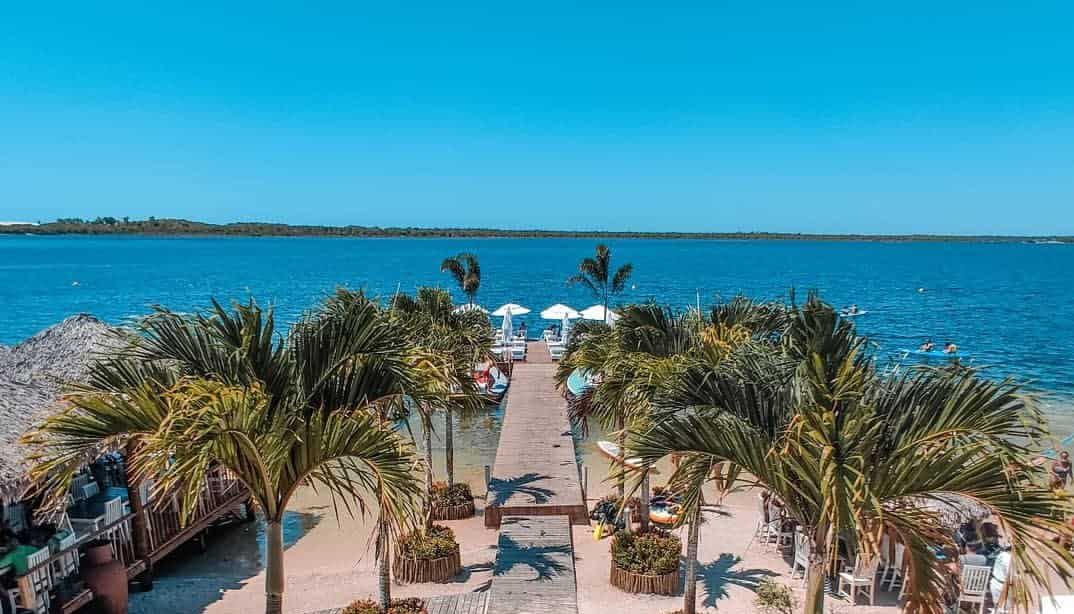 Guia das Vibez Saiba tudo sobre o Réveillon Vira Jeri