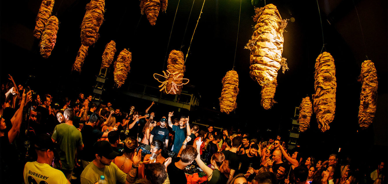 Colmeia celebra 1 ano com uma trajetória marcada por eventos que a consolidam como uma das principais labels de Santa Catarina Colmeia celebra 1 ano com uma trajetória marcada por eventos que a consolidam como uma das principais labels de Santa Catarina